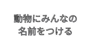 【メン限】動物さんに来てくれたみんなのお名前をつける【ふぃあ猫プラン】