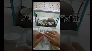 다이소 제품 달팽이 집 꾸미기 용품 소개