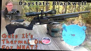 Daystate Blackwolf from Airguns of Arizona - Thermal Time @airgunsofarizona