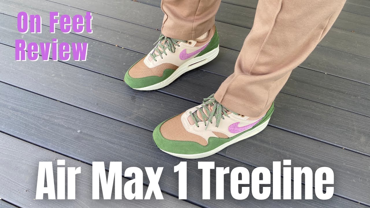 nike air max 1 skunk