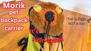 Morik pet backpack carrier #petcarrier by Ziggy And Zelda 565 views 5 months ago 3 minutes, 55 seconds
