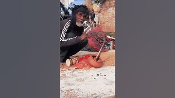 Thumbnail of KING KOBRA 🐍 snake charmer #youtubeshorts