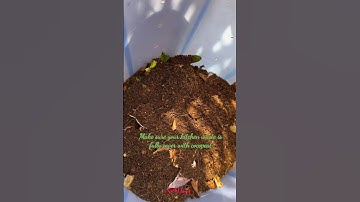 It’s easier than you think. Start you composting journey now! More in caption. #ytshorts #compost