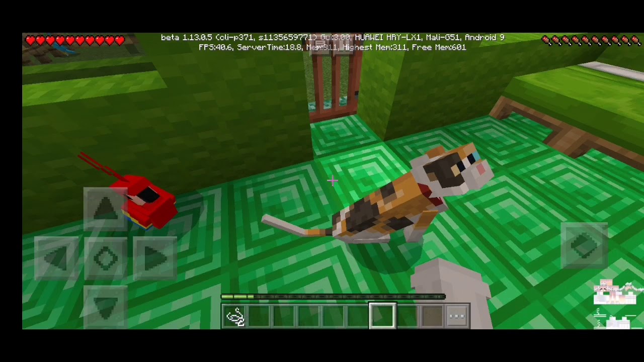 ПОТЕРЯЛА ПОПУГАЯ КЕШУ В МАЙНКРАФТЕ ЧАСТЬ 2 - YouTube