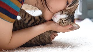 [ENG SUB] A cute cat like a baby that makes me feel better when I kiss