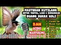 Masteran Kutilang Full Isian Durasi Panjang - Masteran Kutilang Gacor Mewah Buang Suara Asli