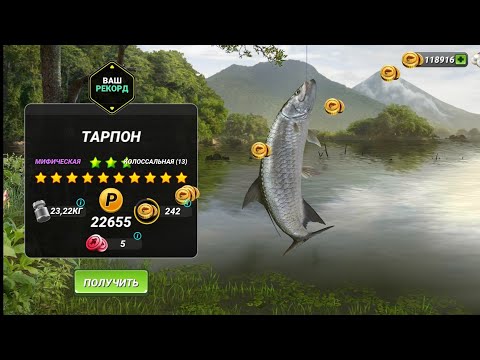 Видео: Как поймать 13* рыбу. Пошаговая инструкция для ВСЕХ локаций. Fishing Clash