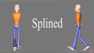 Full body Character Spline