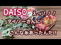【ダイソー】新しい糸！！300円毛糸♡凄く可愛い🧶こんな糸まであるなんて(๑⃙⃘ˊ꒳​ˋ๑⃙⃘)『購入品紹介』