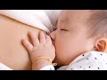 Baby Products for Newborn Wholesale | Best Bulk Baby Essentials Guide