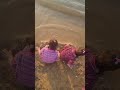 #바닷가 #모래놀이 | 밀물이라 물이 계속 밀려들어옴 | 물 못오게 모래를 덮어도 자꾸 침범하는ㅋㅋ| 밀려오는 파도소리가 넘 좋았고, 노을이 넘 예뻤던 날♡ #을왕리 #shorts