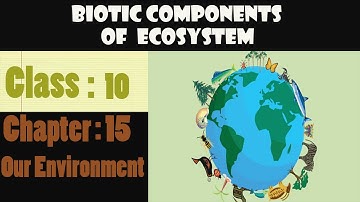 Biotic Components of Ecosystem