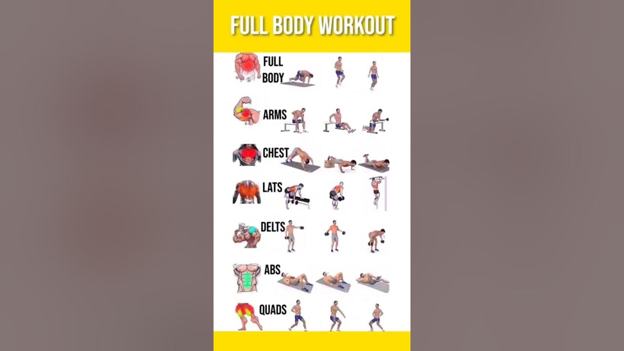 Full body workout 💪💪||body banane ke tips#shorts ||#wwe