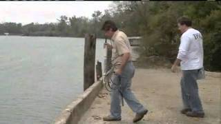 After massive fish kill, pearl river restocked