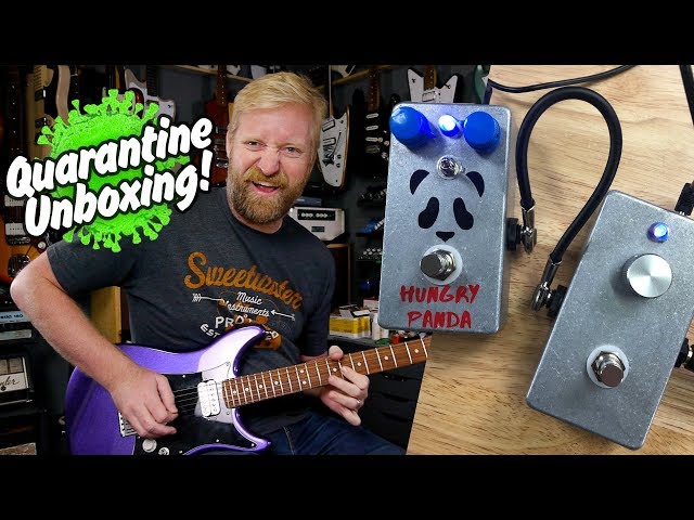 Scattered Abroad Guitarworks - Fuzzy Fox FUZZ & Hungry Panda OD