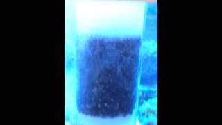 Mainriff - Spülsystem Für Filter