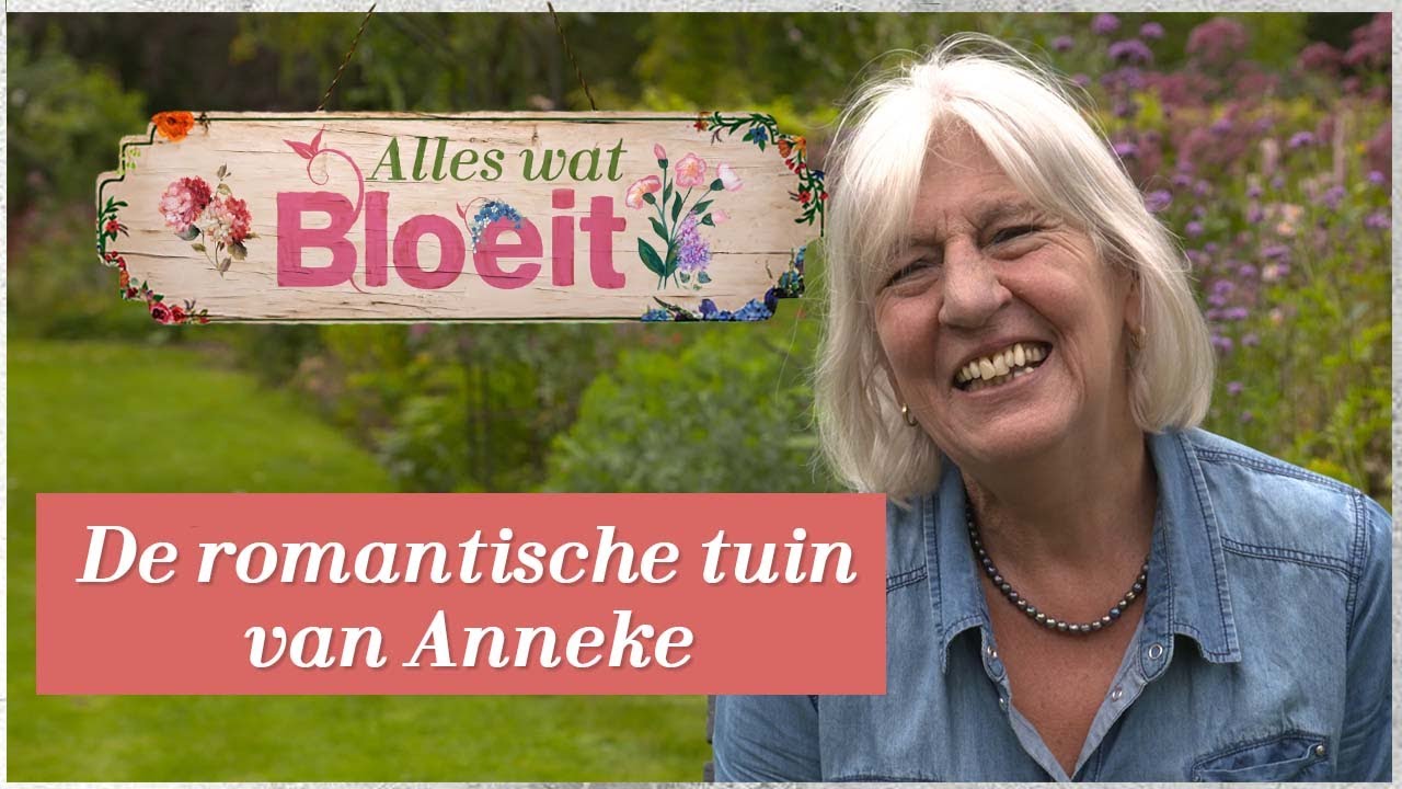 De romantische tuin van Anneke | Alles Wat Bloeit