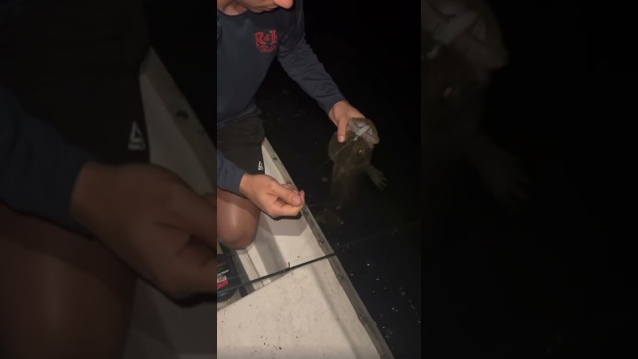 Slot sized Snook caught on the 3.5in R&R Tackle Fluke style minnow! 