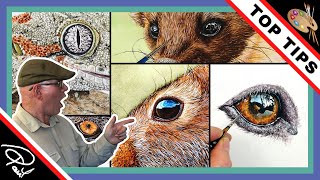 How to Paint EYES Using WATERCOLOR (Part 2) 👀 by Wildlife in Watercolour 1,780 views 3 months ago 18 minutes
