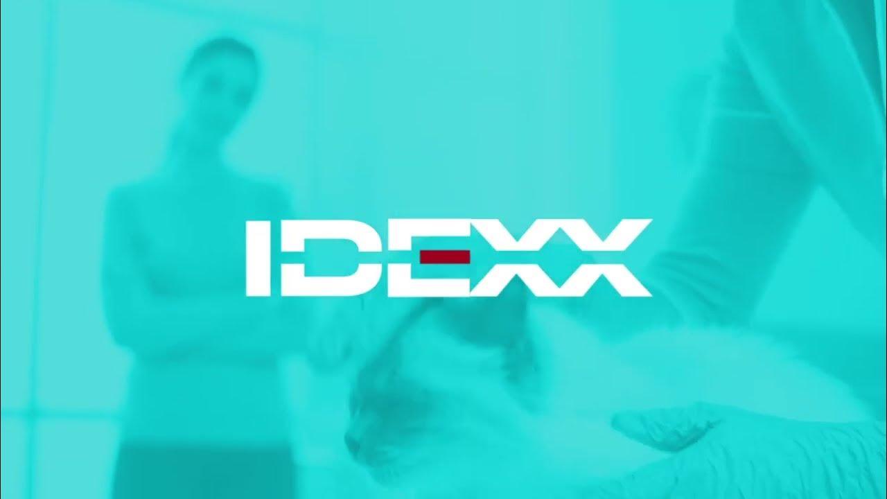 Prueba SNAP fPL YouTube