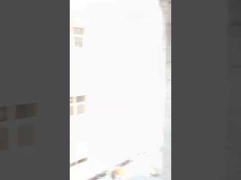 اعمال اللياسة الجيدة مهندس أحمد الحسيني