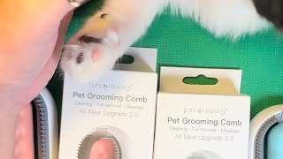Pet Gravity Pet Grooming Comb Review