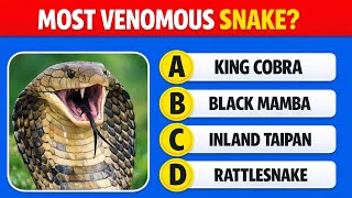 99% FAIL This General Knowledge Quiz Can You Score 15/20? 🧠