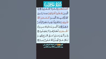 سورة الحجرات 1-3 ({ ياأيها الذين إمنوا }) فارس عباد