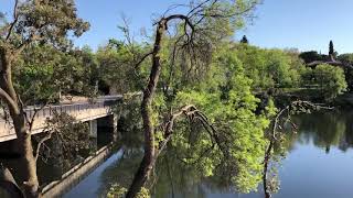 Molino de la Hoz una mañana de primavera