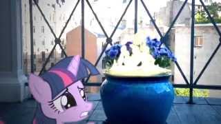 Twilight sparkle spell fail