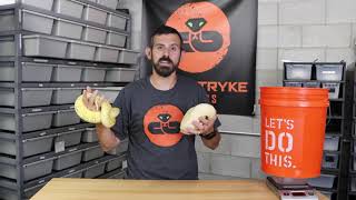 Famous DOES BALL PYTHON SIZE MATTER? Net Worth