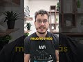 Si eres analista y aún no usas Python… estás dejando oportunidades sobre la mesa.