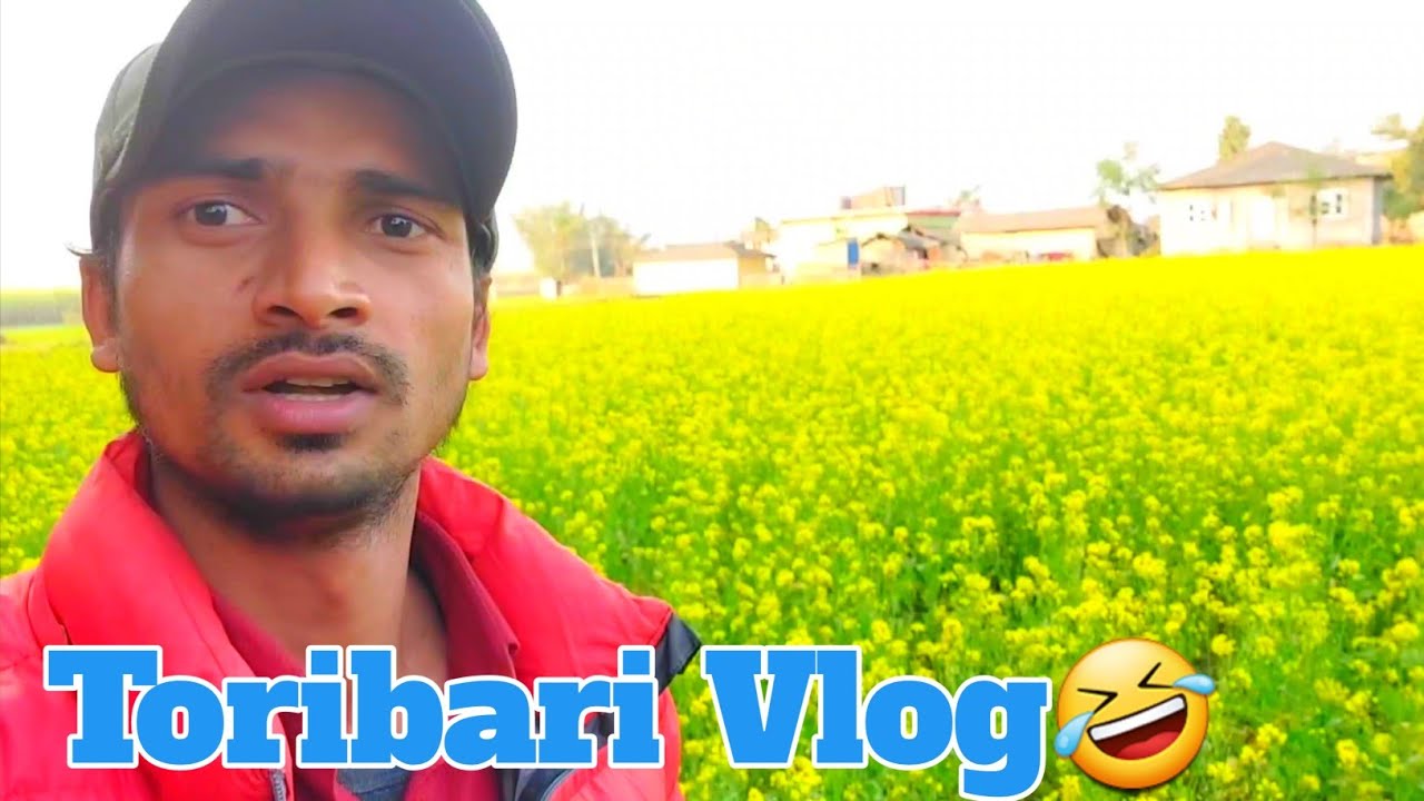 Toribari vlog, Bayalbash Ishworpur Narpalika. Aamir vlog
