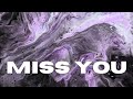 Aurolis X.O - Miss You  (visualizer)