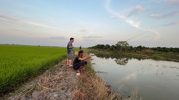 Câu cá ở vĩnh hưng long an 2023