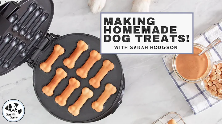 DIY Dog Treats with Sarah Hodgson | Sarah Says Pets