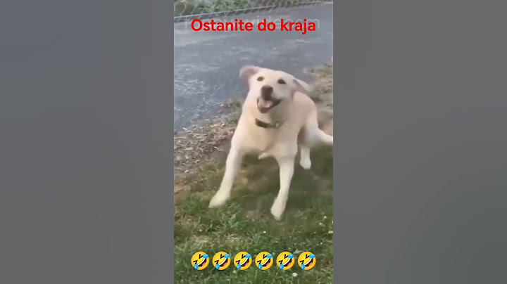 "Smeh do Suza: Najsmešnije Scene sa Mačkama i Psima 🐾😂"