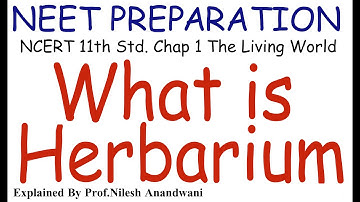What is Herbarium NEET Preparation NCERT 11th Std. Chapter 1 The Living World