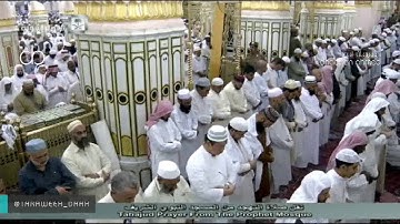 تلاوة -صلاة التهجد للشيخ محمد خليل قارئ من المسجد النبوي ليلة 21 رمضان 1437 (الفاتحة - البقرة 91)