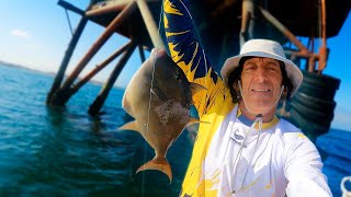 Me fui a pescar a las Plataformas Petroleras y saqué 30kg de PESCADO! by Tio Lenguado y Descocaos 141,423 views 3 months ago 15 minutes
