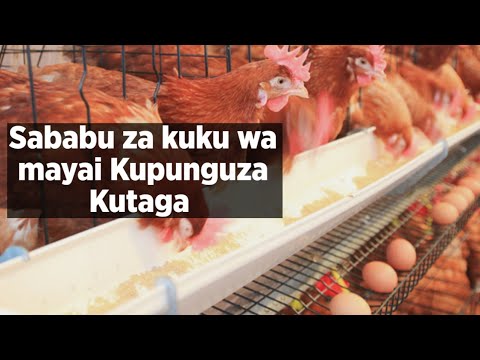 Video: Njia 3 za Kuwa Mvutio Zaidi (Wanaume)