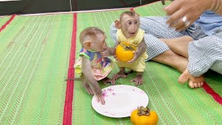 Lil Modo Holding Persimmon Very Happy Wait Mom Cuttinq To Share With Sister Mona