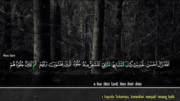 تلاوة نادرة سورة الزمر   هيثم الدخين   Haithm Aldokhin