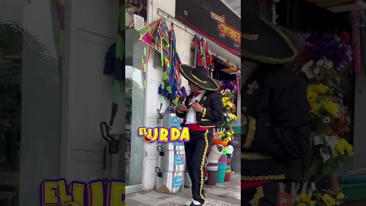 Cantando el Rey / BROMA DIVERTIDA