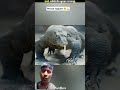 ALERT This Thing Eat Humans FSPT_299 😱😱|FactsMine | #shorts #factsero #viral #fake