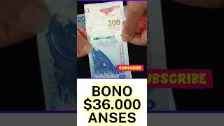 Bono de 36000 para jubilados ¿Cuando Cobro en Agosto?