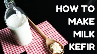 How to make Milk Kefir with grains | Homemade Gut Health Probiotic Foods | Tibetan Mushroom Recipe