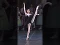 【国宝級】ザハロワの黒鳥