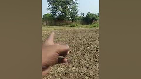 Plot for sell in Patna|Plot for sell near AIIMS Patna|Plot for sell on NH 139 Patna