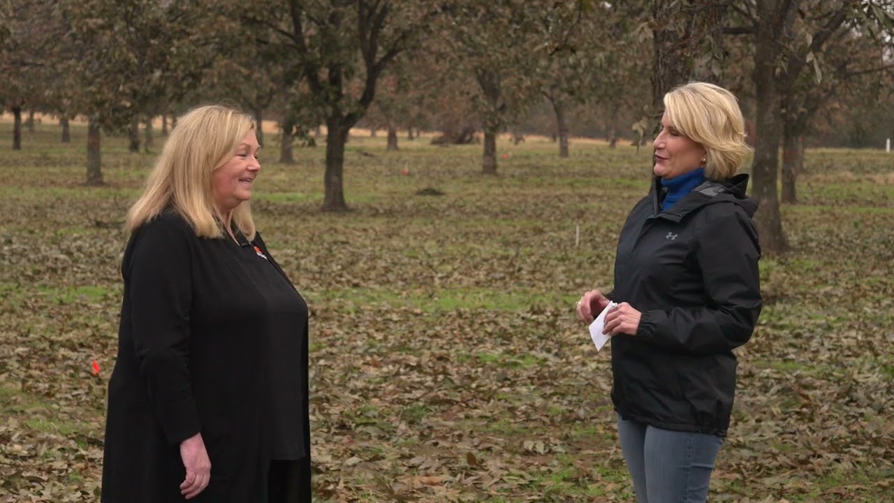 How Did the 2024 Pecan Crop Turnout?